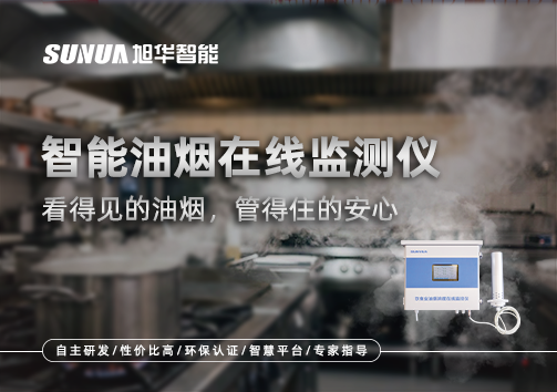 智能油烟在线监测仪：看得见的油烟，管得住的安心